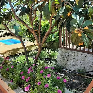Carrubo - Giardino In Catane