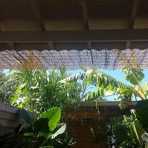 Le Tiki Cote Canne Appartement Grand-Bourg (Marie Galante)